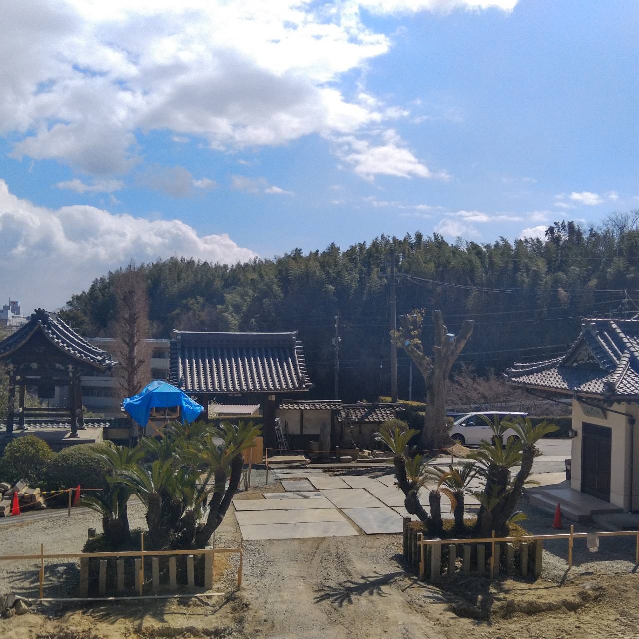 龍雲院、躯体型枠、鉄筋