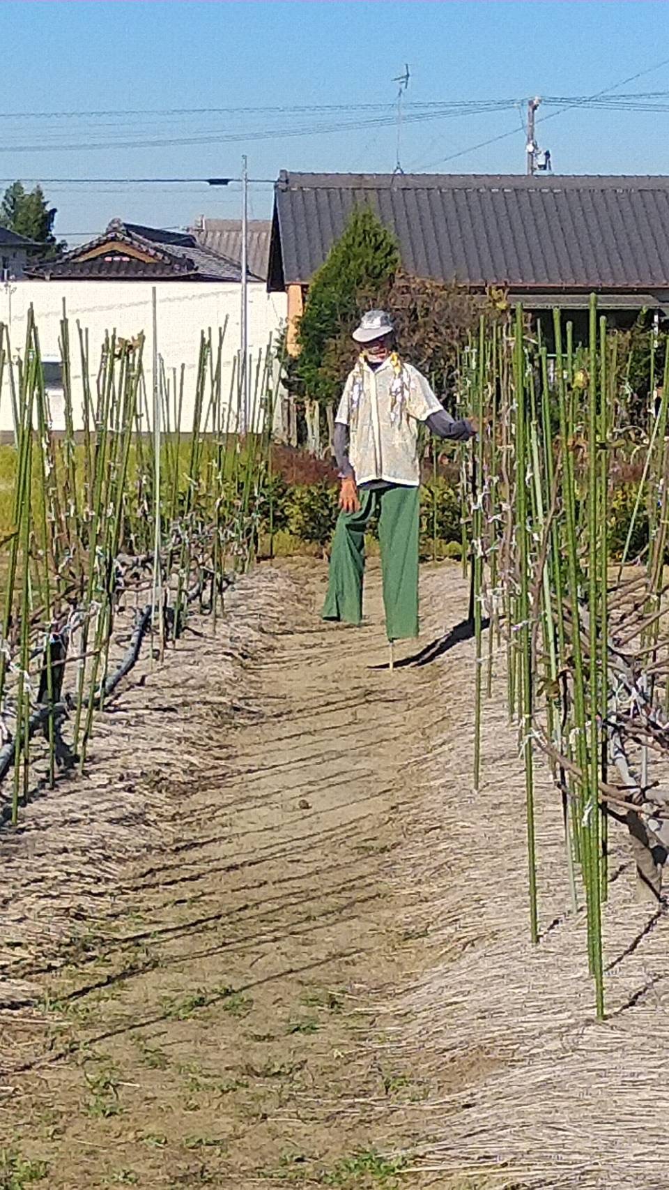 従業員募集中！