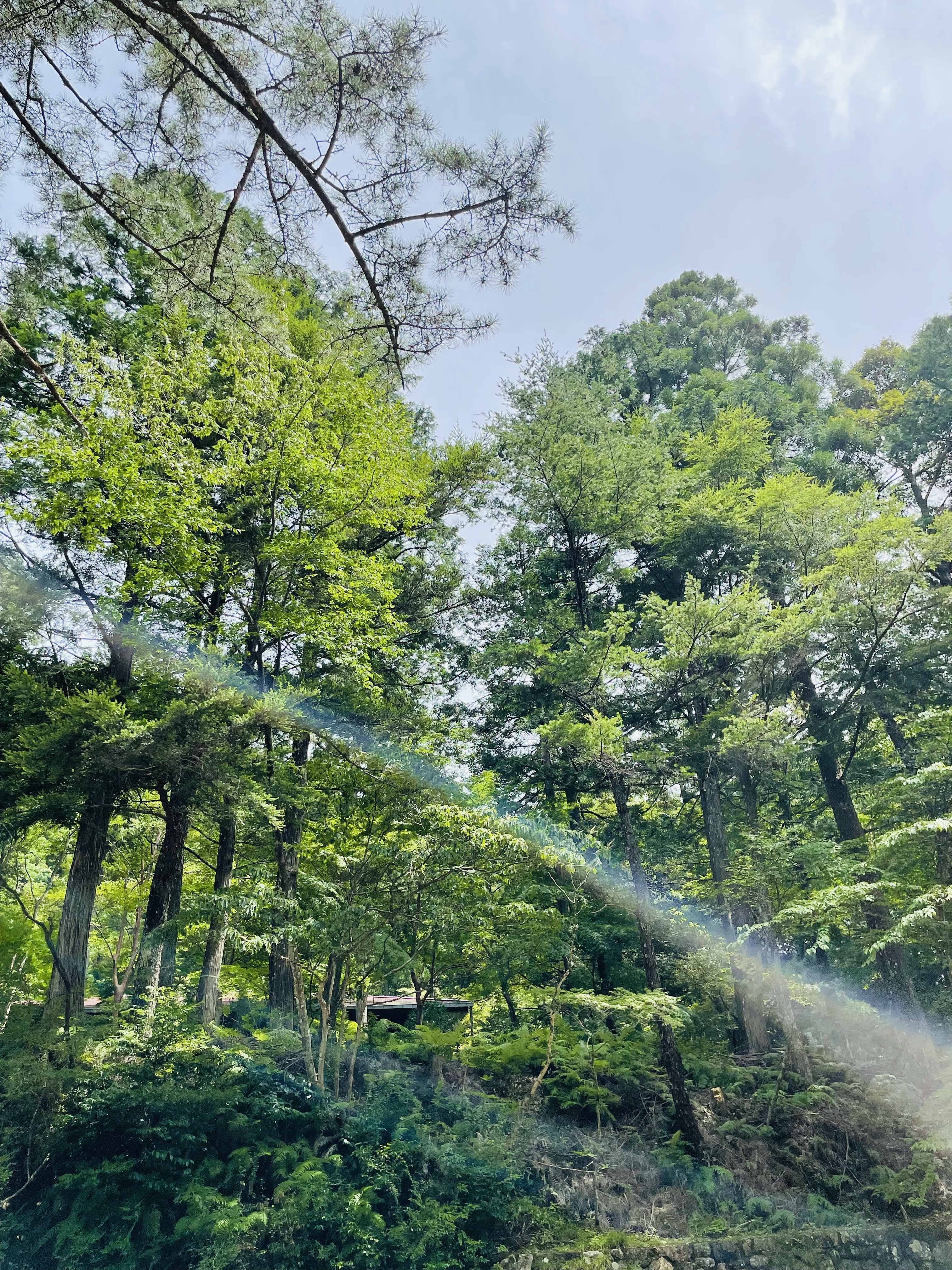 従業員募集中です！